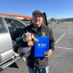 English Bulldog puppies for sale